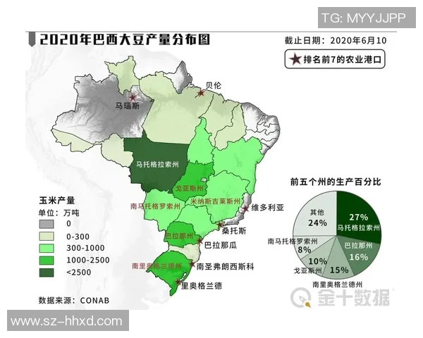 俄罗斯与巴西足球对决分析及战术解析探讨