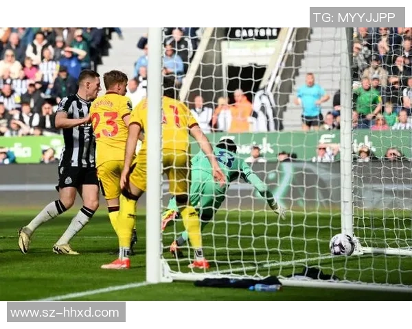 谢菲尔德联队与纽卡斯尔联队的激烈对决展望与分析