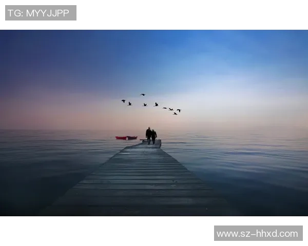 哈德森的传奇旅程探索与启示：从历史到未来的深度解读与思考