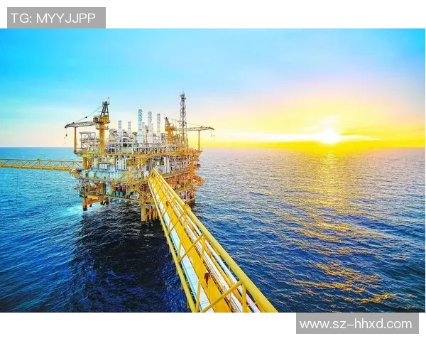 墨西哥与VSM的深度对比分析及其在全球市场中的影响探讨 墨西哥与VSM的深度对比分析及其在全球市场中的影响探讨