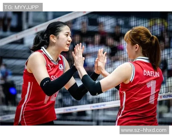 广州排球队灵活性变革引发热议助力球队新发展