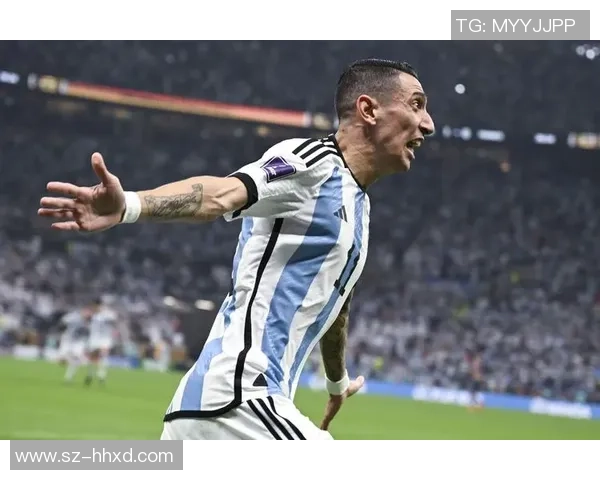 激情对决阿根廷迎战卡塔尔直播盛宴尽在眼前不容错过