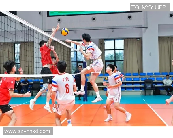 成都排球队的转型之路：从传统到现代的排球纪实探索与反思